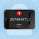 257493471