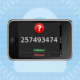 257493474